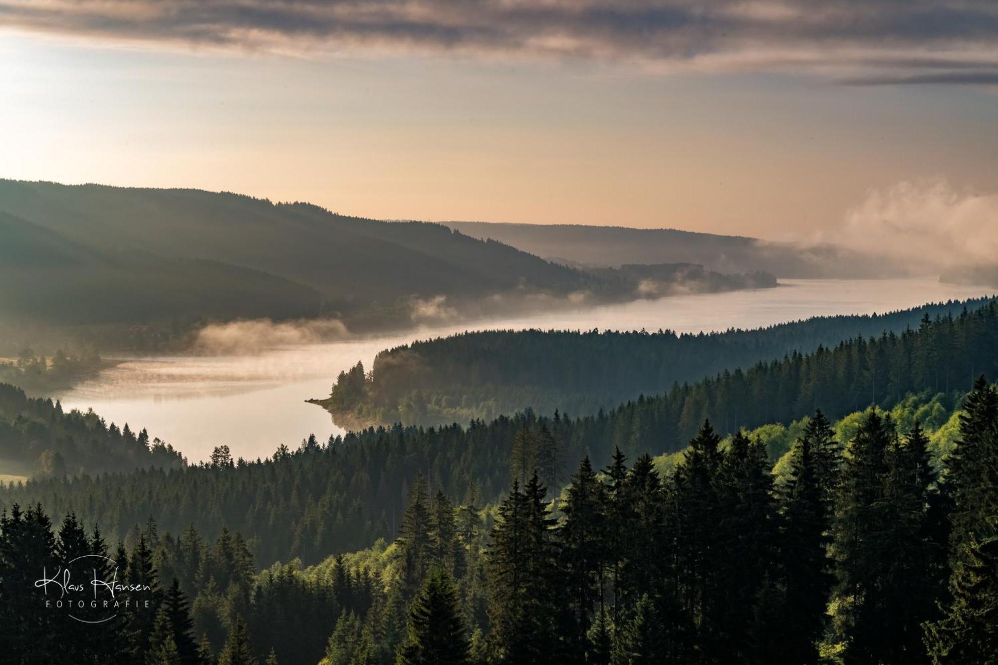 Kurhotel Schluchsee App 1511 - Schwarzwaldhirsch - Mit Innenpool Und Sauna, Schluchsee Eksteriør billede